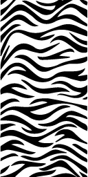 zebra-pattern