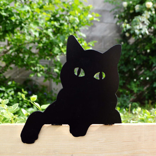 Cat-peeking