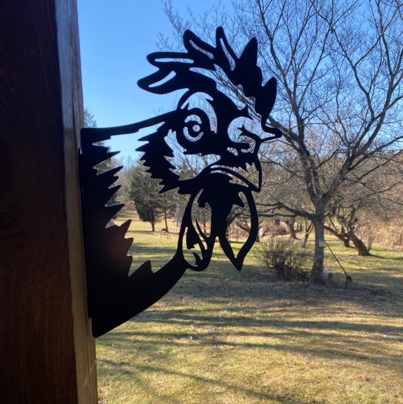 spy-cock