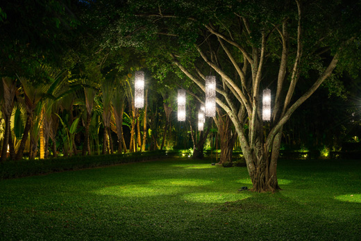 tree-with-lamp-lighting