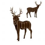 Deer 3D