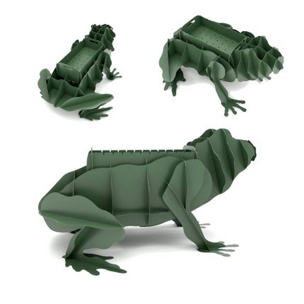 Frog 3D