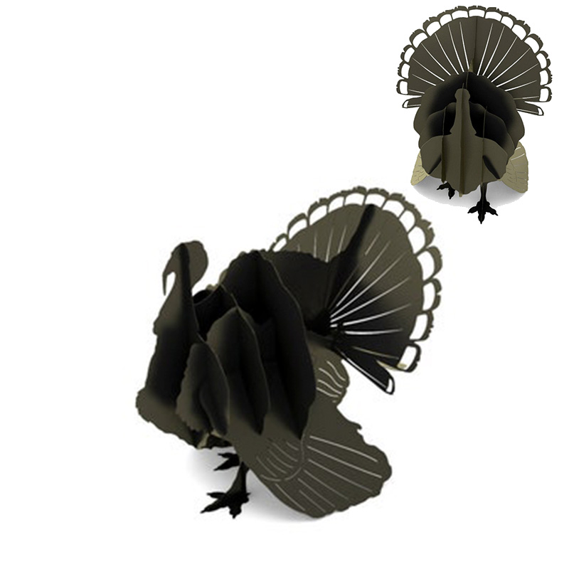 pavo 3d