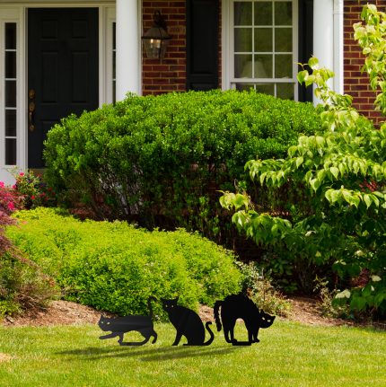 3 gatos negros