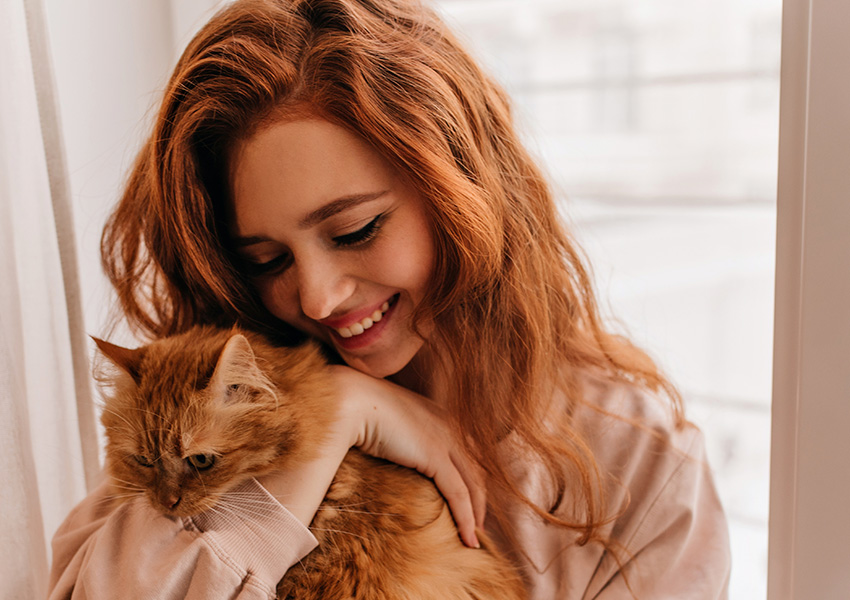 Love-Cat