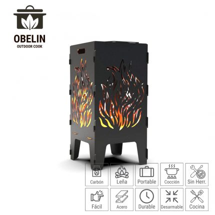 Fire Pit Fire