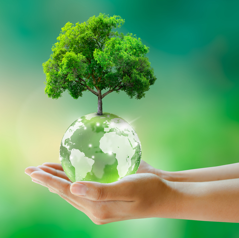 saving-environment-ecology-concept